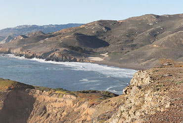 在线接收短信验证码